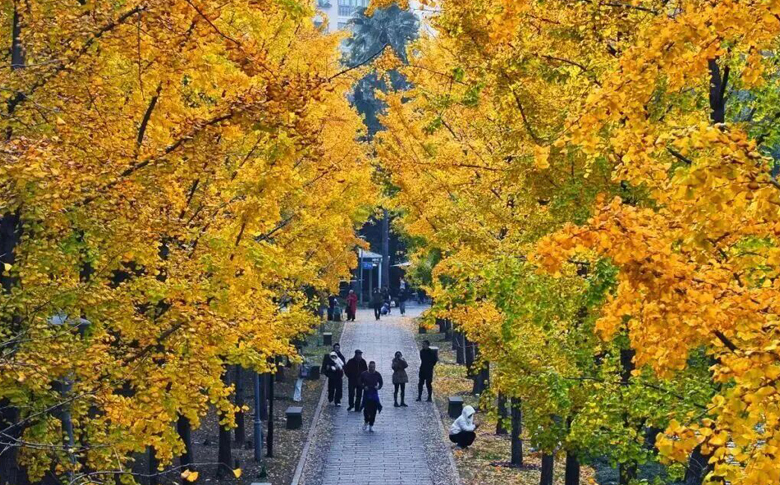 温州这几个机位,出片率100%!