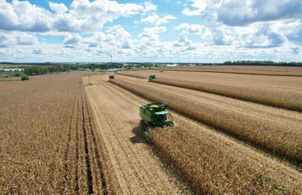 ҹļʳܲ463.14ڽʵ֡ʮᡱ