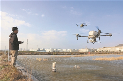 “低空经济”虾尝鲜 乐清“稻渔轮作”迈入智慧时代