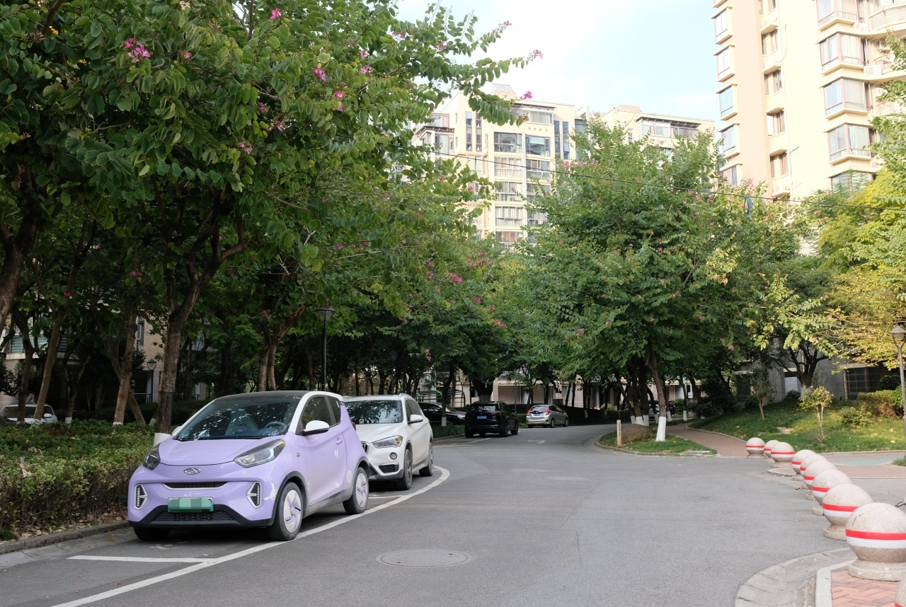 温州瓯海:社区“发光者计划”让幸福生活“闪闪发光”