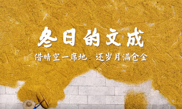 温州文成:借晴空一席地 还岁月满仓金