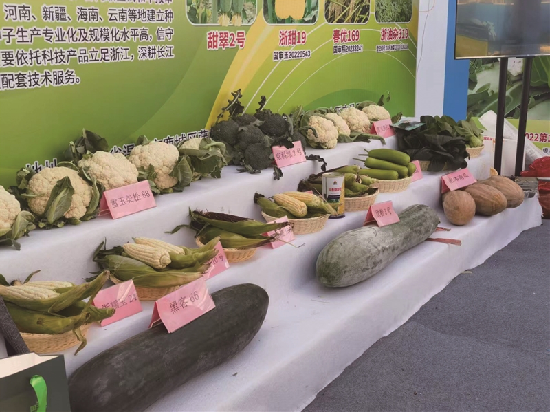 南方(温州)种业大会开幕 600余名专家、种植户在温赏“花”选“种”
