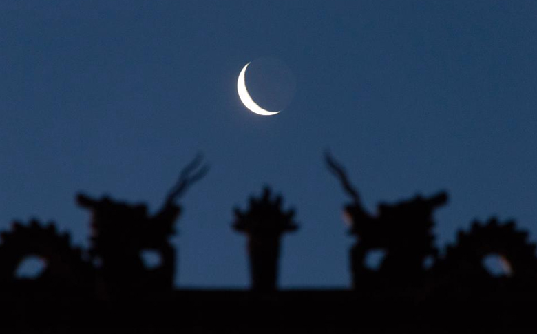 ����ӭ���������С����