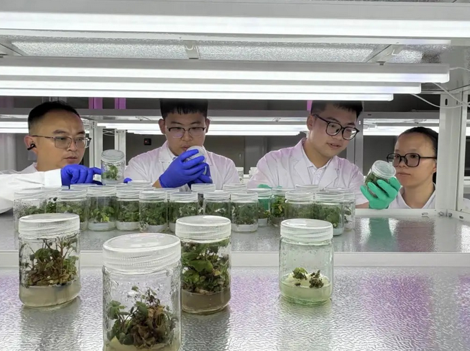 全国首批 鹿城科技试验基地跻身“国家级”