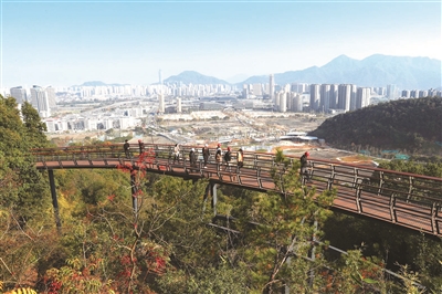 360°无障碍观园!一条架空栈道沿着山脊连起园博园南园全景