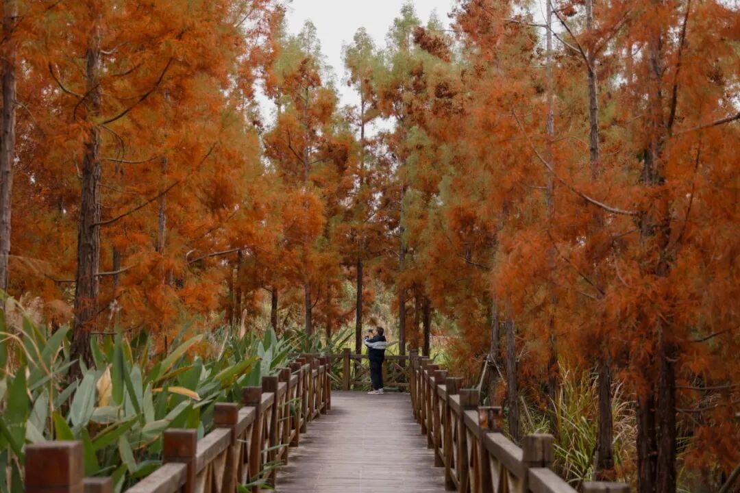 �����ͻ�������������صأ�������Ҫ��һ�꣡