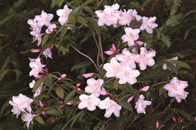 ̩˳�ž顰��ס��԰��԰