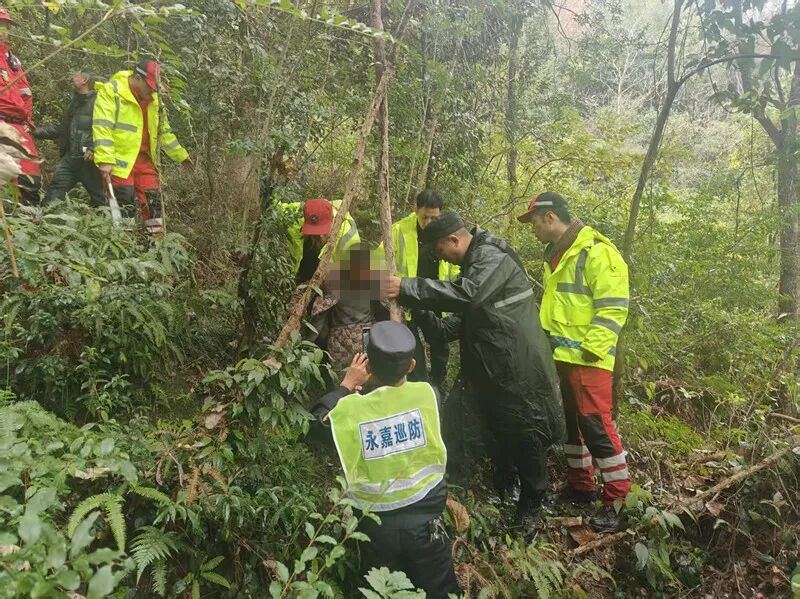 警犬示警无人机定位 永嘉老人在走失29小时后成功获救