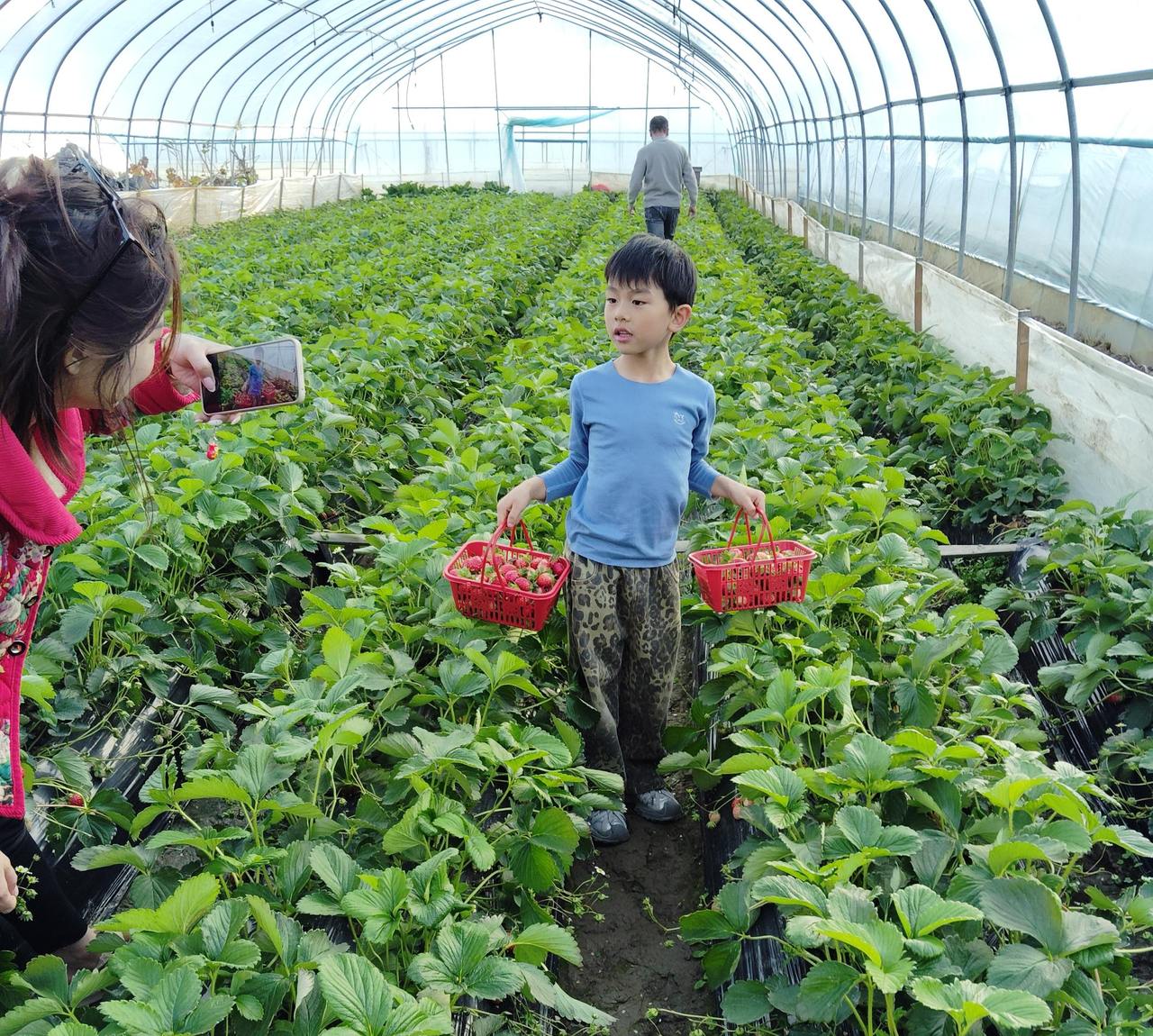 ��������Ӱ����ͣ����ݱ��ز�ݮ��С�ɡ�����