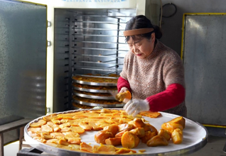 �������Σ�СС������ɹ�����ҵ