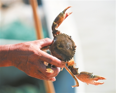 ������з����ͷ�ϲ���ѡȫ����������ũ��Ʒ��¼