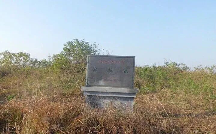 ���������ʷѧ������������