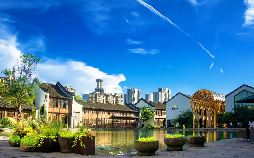 省级名单公布,温州这些小镇上榜!