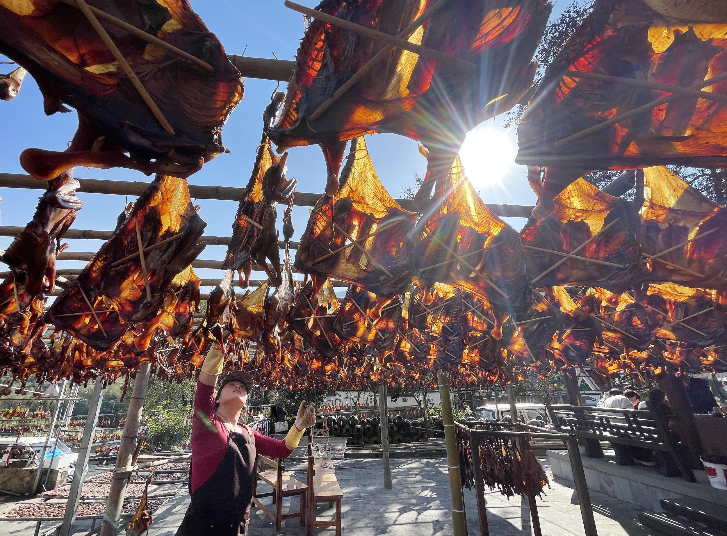 晴日忙晒酱油鸭 山中年味已飘香