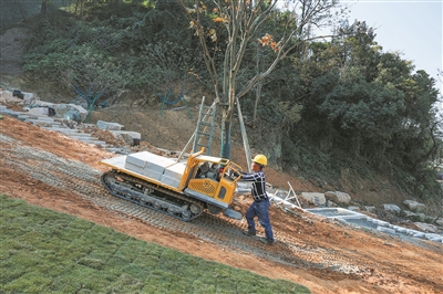 �����е���������ɽ��������԰��԰����չ�