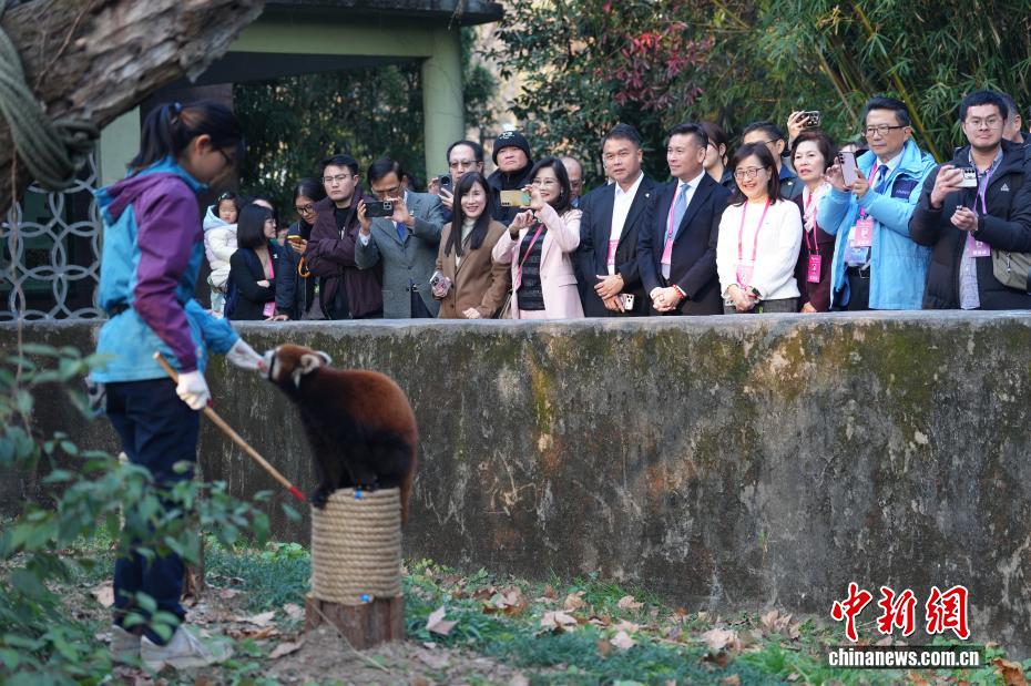 �Ϻ����ͳ���ֻС��è��̨������԰���б�������