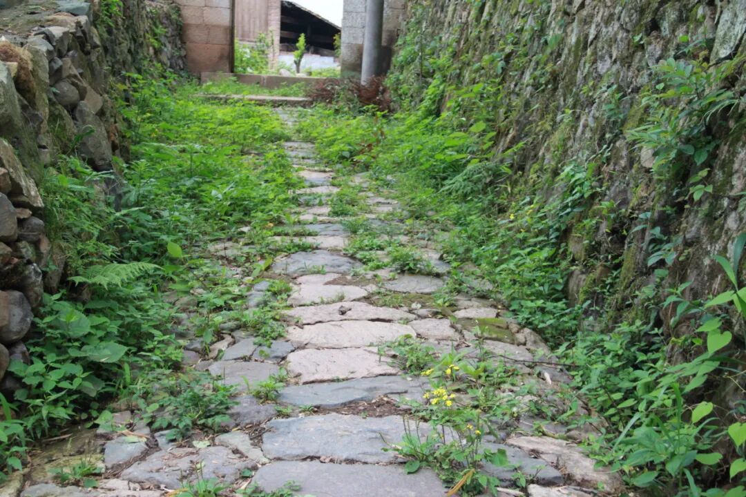 �ĳ��ô���̨��İ�����˥��ʱ������