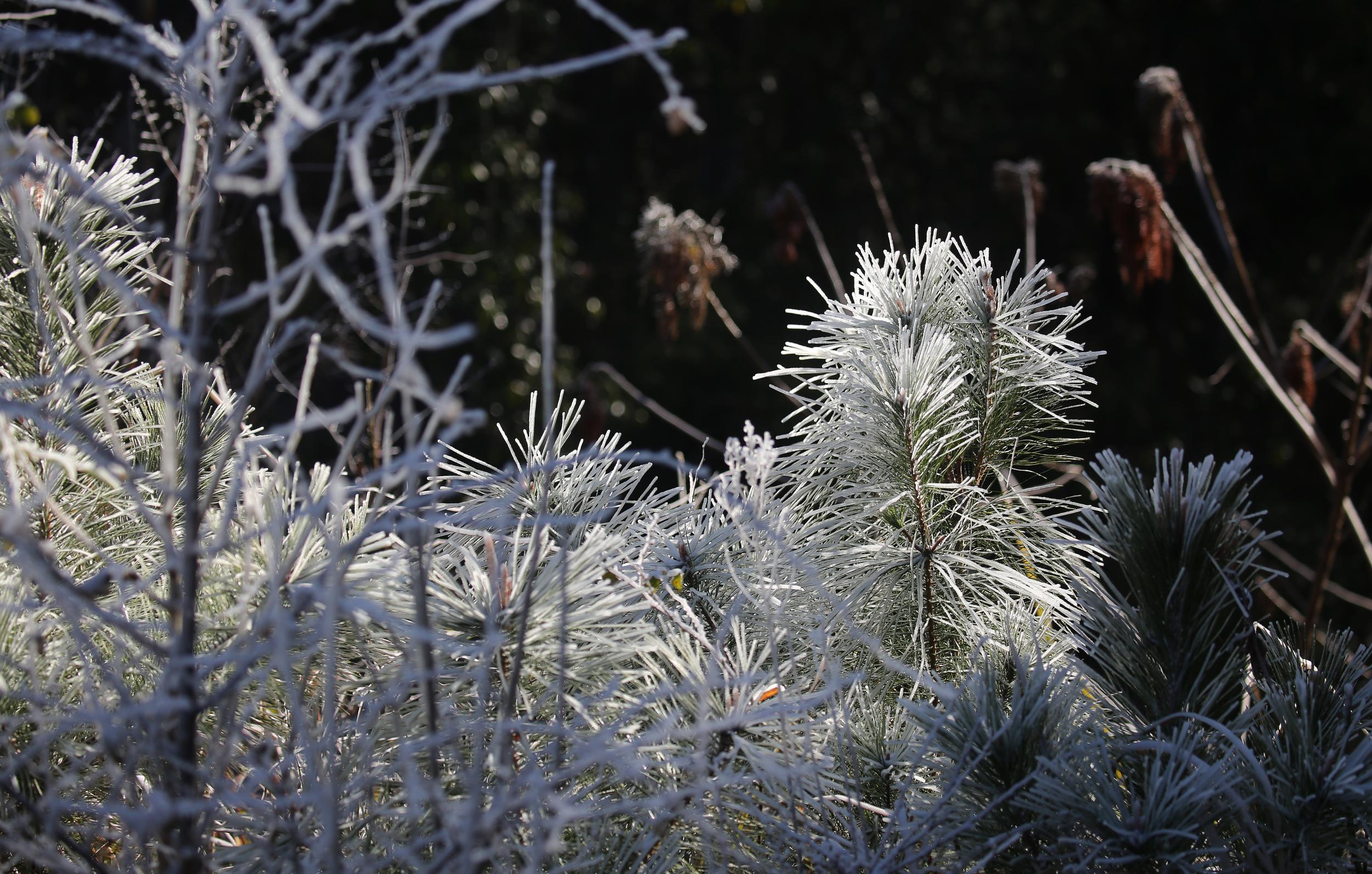 2025�����һ������ѩ��������ڡ�ճ�ͬ�����