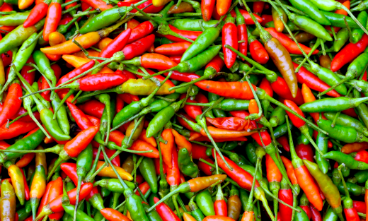 ��������NO.603ح�Ⱦơ�������������䡭�������Ǽ٣�