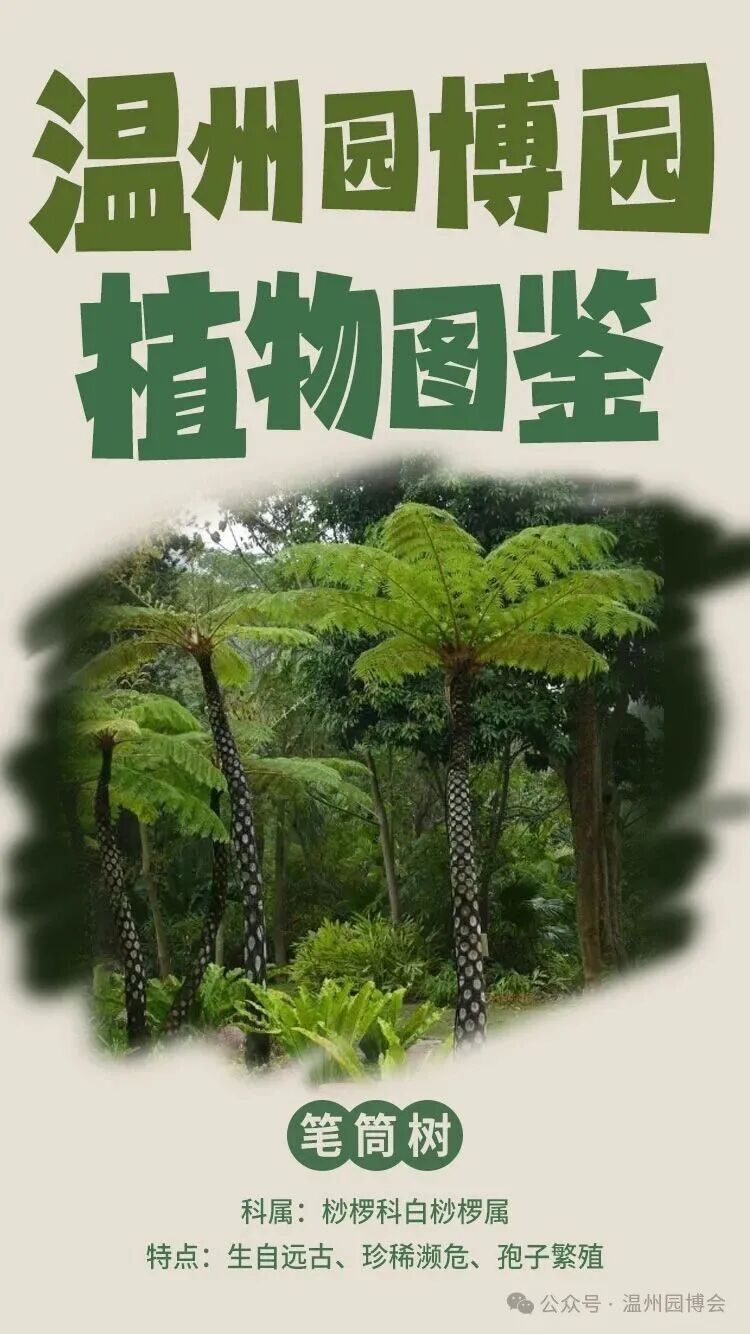 ����԰��԰ֲ��ͼ��حֲ���ġ��ʯ�������ǿ�������