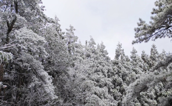 �����ĳ�ͭ��ɽӭ��2026��ĵ�һ��ѩ