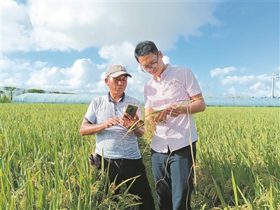 “外乡人”开了13家“庄稼连锁医院”