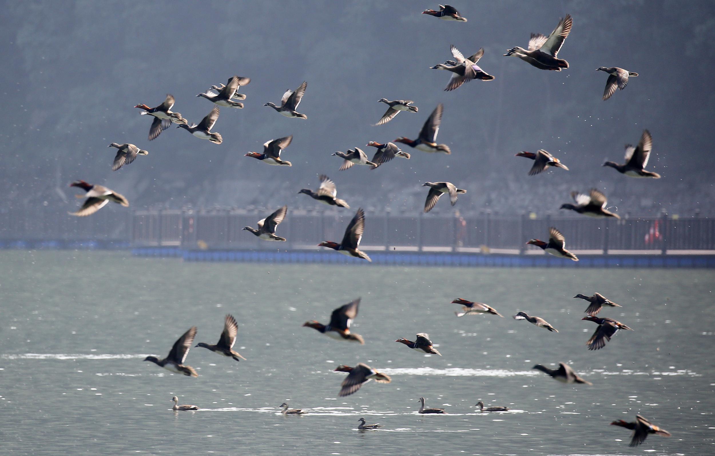 ��ͩϪ�����ּ�ԧ�����