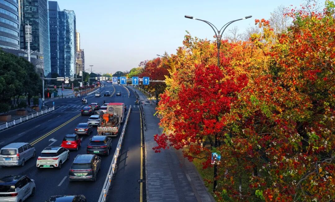 ������ݶ��ն��е�Ѥ�ã����ղأ�