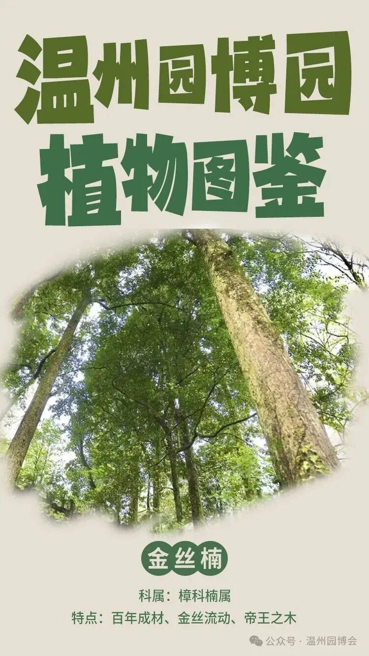 ����԰��԰ֲ��ͼ��ح����������Ŵ���������ͷ��