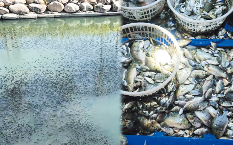 ���������������ٽ� ����ӵ��ۼ������޷���