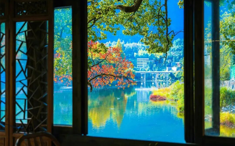 ������Щ��ħ���Ŵ���������Ƭ��