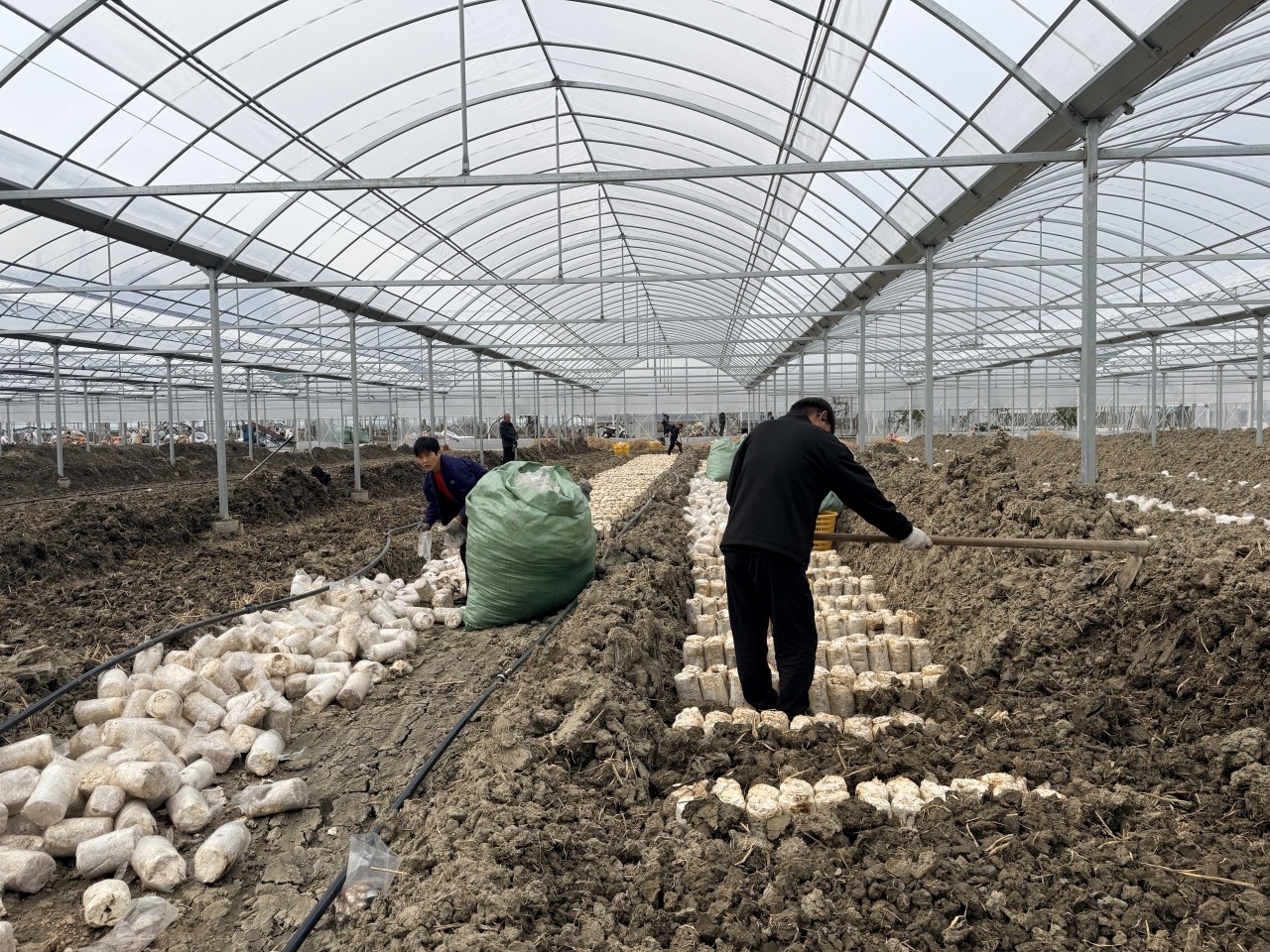 �������۳ɹ������컨�� ���㽭ʡ�����״�