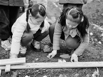 ԭ������������Ӻ�����У�����԰���ֲ��Ρ��ú����Ǻܼ����ܸп�