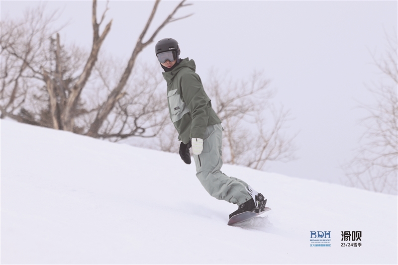 ��������ѩ���罻���������ʽ