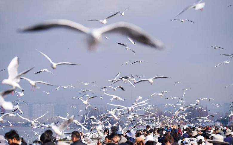 �������»��� ���ڵ�ر�ιŸ�;�