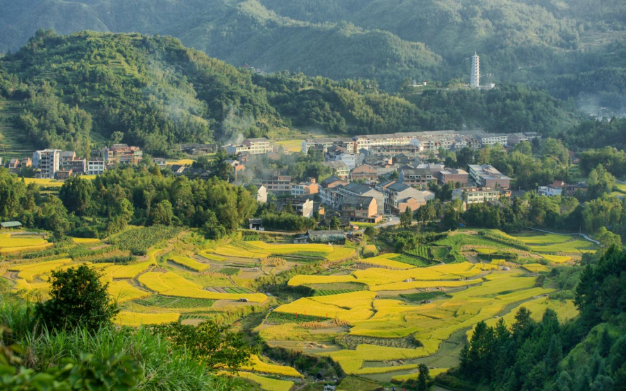 �����׸���Ȫ�ȼ���Ҫ���ˣ�