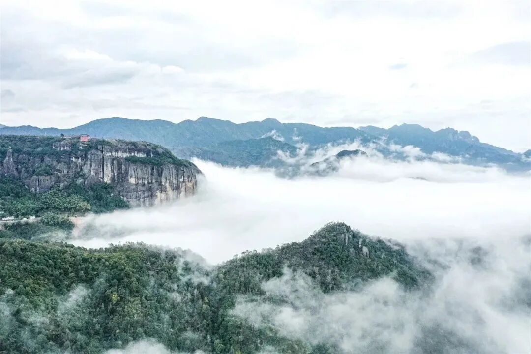 �������������幫���ֻ���14��