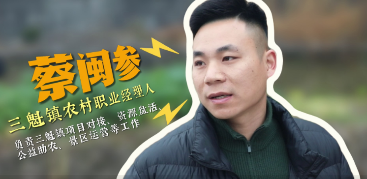 �����ҳ����������Σ�����̩˳�������CEO��