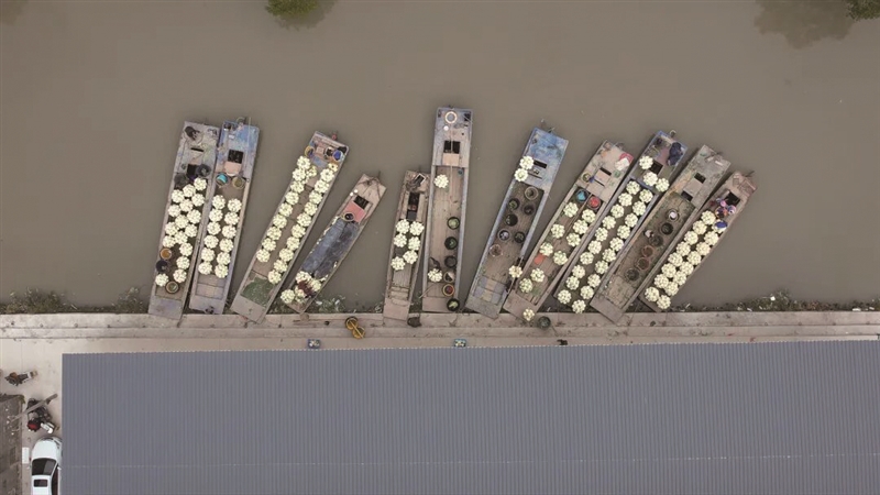 ���ݻ�Ҭ�˴������� ������һ������10�򹫽�