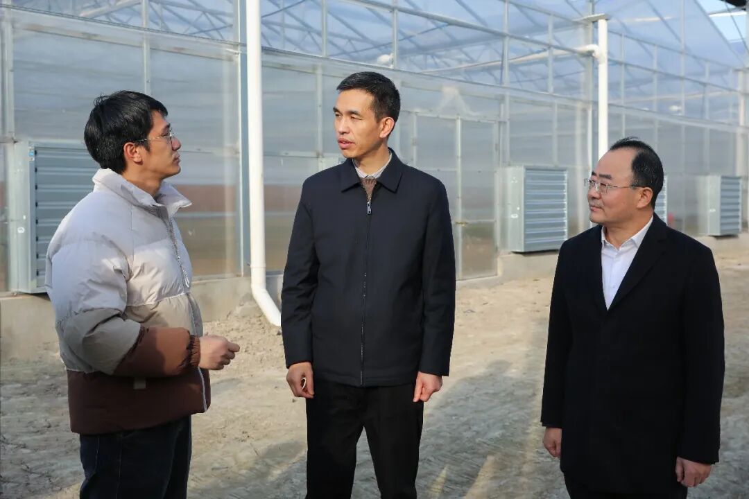 苍南县委书记张本锋调研农文旅融合发展和“141”基层治理体系工作