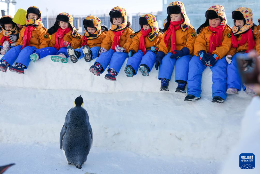 ������Сɰ���١��ٴ���������ѩ��