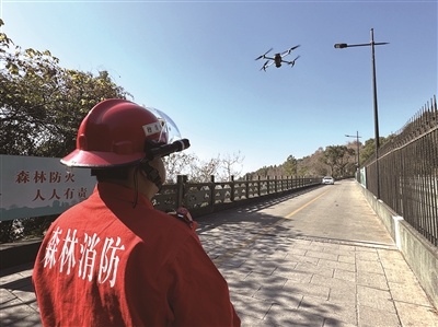 ���˷�+����+��������� ��������ɭ���������