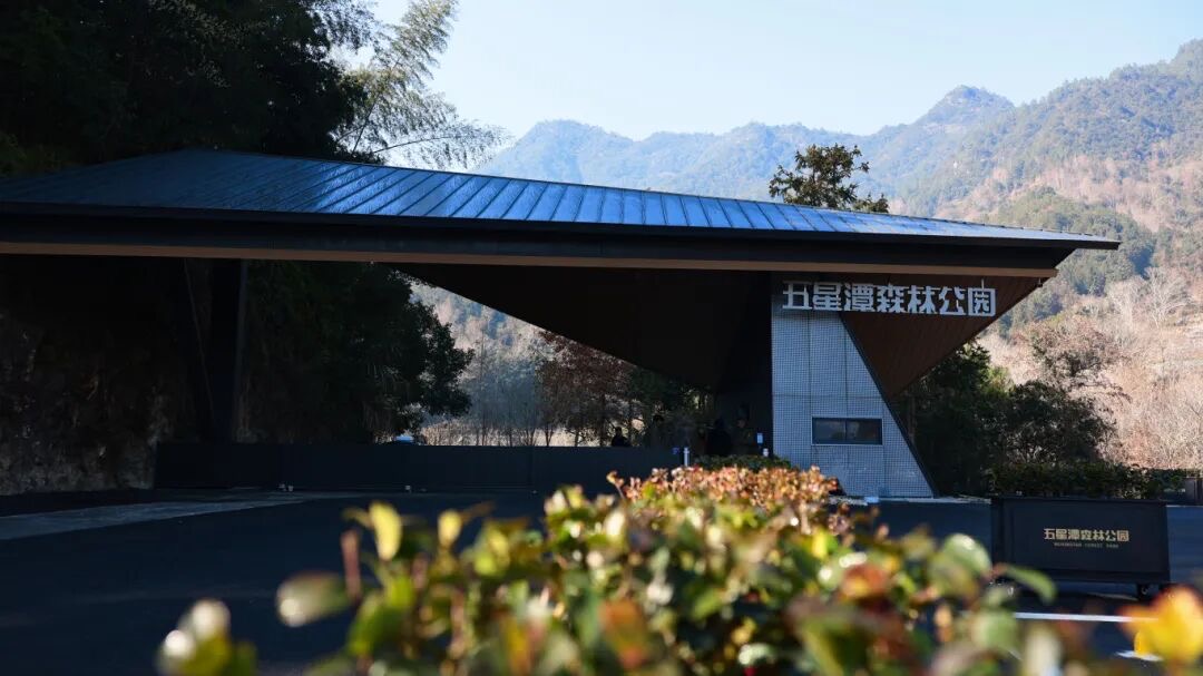 ��ɽҲ�ܵ����� ������������ͽ���ߡ��ɵġ�ר�ͷ��񼴽�����