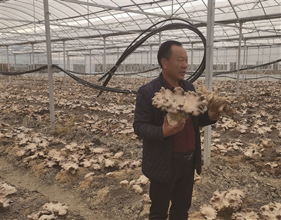 ������Ѯ��ũ�˿����ũ�� �ɹ����֡���������