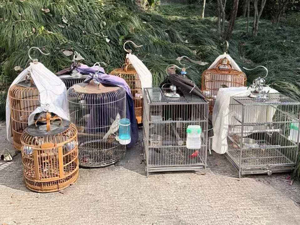 16ֻ��ü���ȣ����ݶ���԰���϶ಿ���ػ���̬