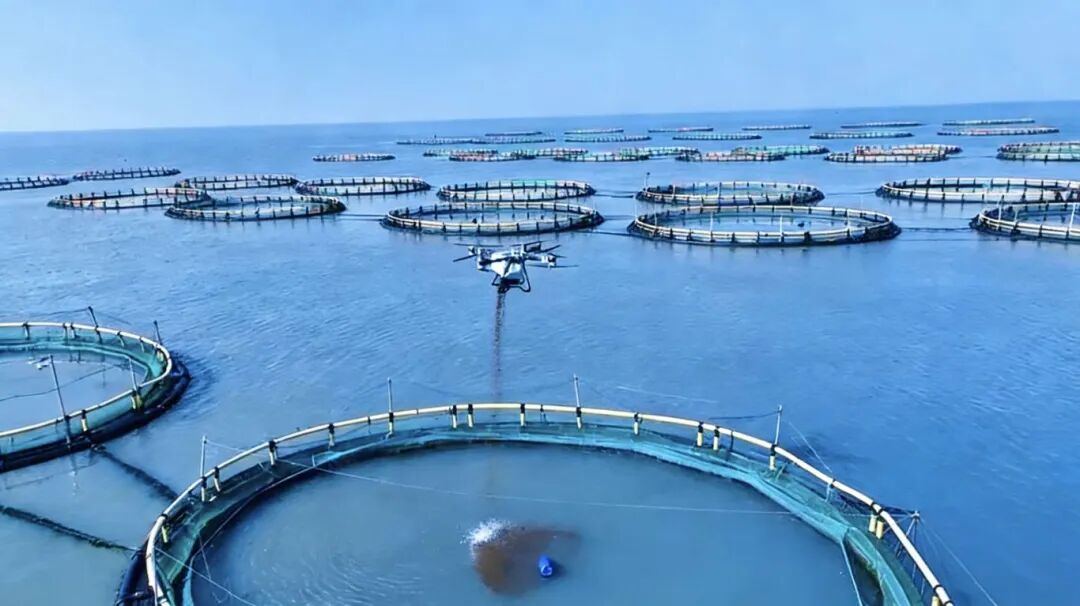 ���˻����ϸڡ����䵺 �������ֳʵ�����˻���׼Ͷι