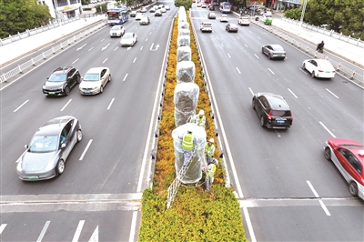 ǿ������������� ���ݷ�������������ʾ