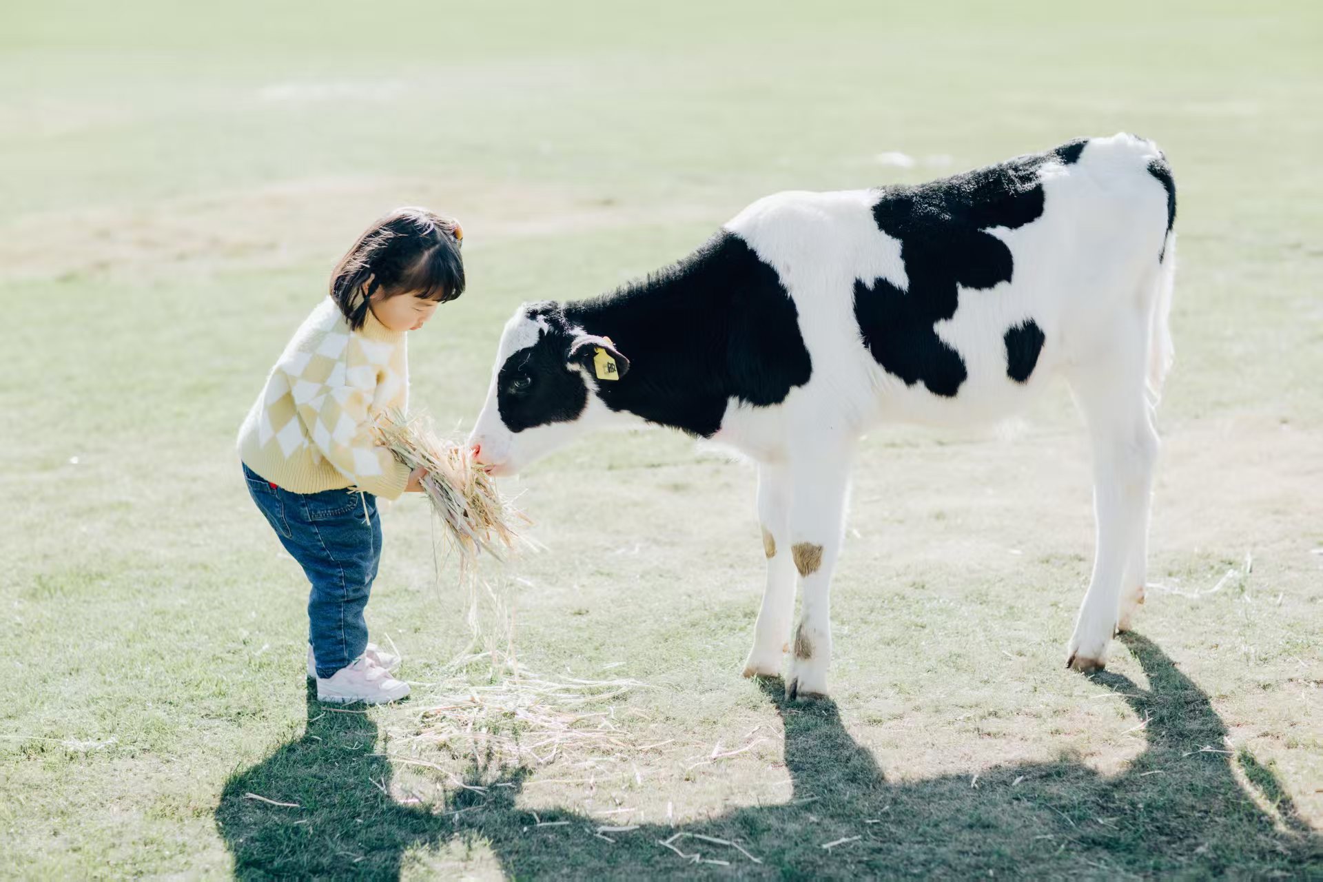 ��ţҲ����������֤������ũҵ�������