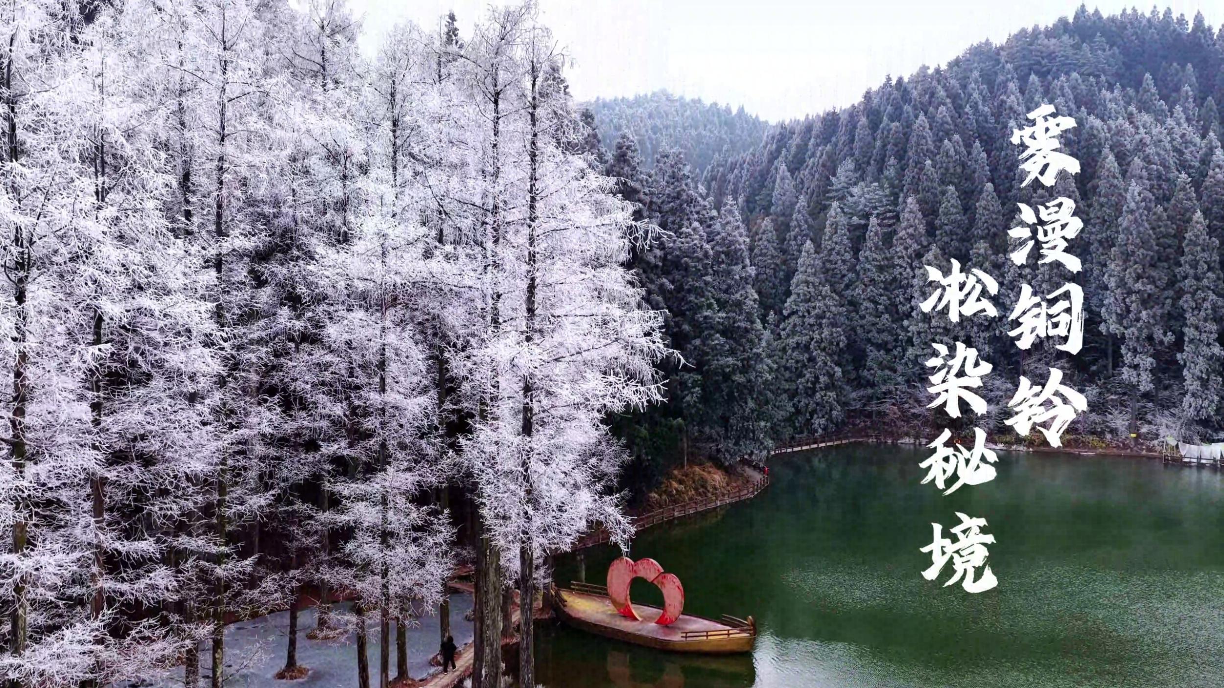 温州文成:铜铃山雾凇美如画