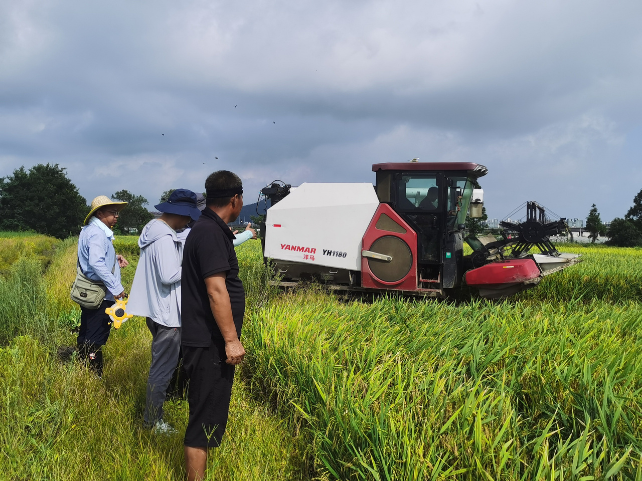 ˮ��Ķ������ʡ��¼�������ά������ũҵ�ִ���ͼ��